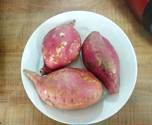 免费吃瓜地瓜,畅享田园美味新体验 第1张 免费吃瓜地瓜,畅享田园美味新体验 第1张