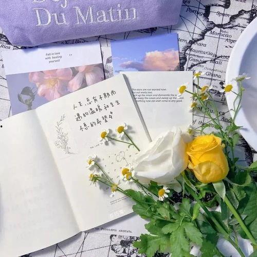 关于花季节最新爆料的文案,揭秘最新花季节秘闻大揭秘  第1张